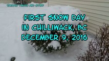 First Snow Day in Chilliwack, BC, Dec 9, 2016