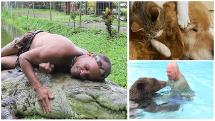 The Most Amazing and Unlikely Pet Friends We've Ever Seen