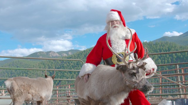 This Guy Takes Being Santa To the Next Level and He Has The Reindeers to Prove It