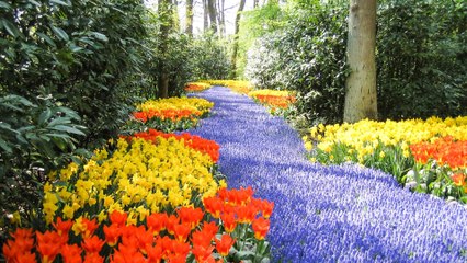 European Floral Wonderlands Perfect for Your Next Vacation