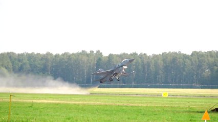 F-16 Fighting Falcon Block 52+ Tiger Demo Team Poland - Air Show Radom 2017