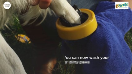 You'll Never Have To Worry About Muddy Dog Paws Again With This Product