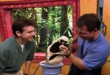 Zoboomafoo Cap. 48: "Es un Tanque"
