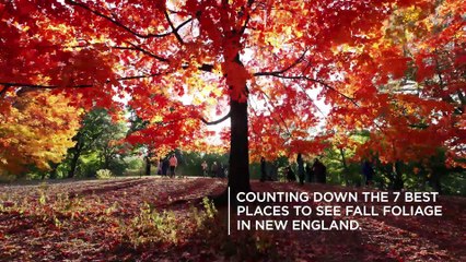 Counting Down The 7 Best Places to See Fall Foliage in New England