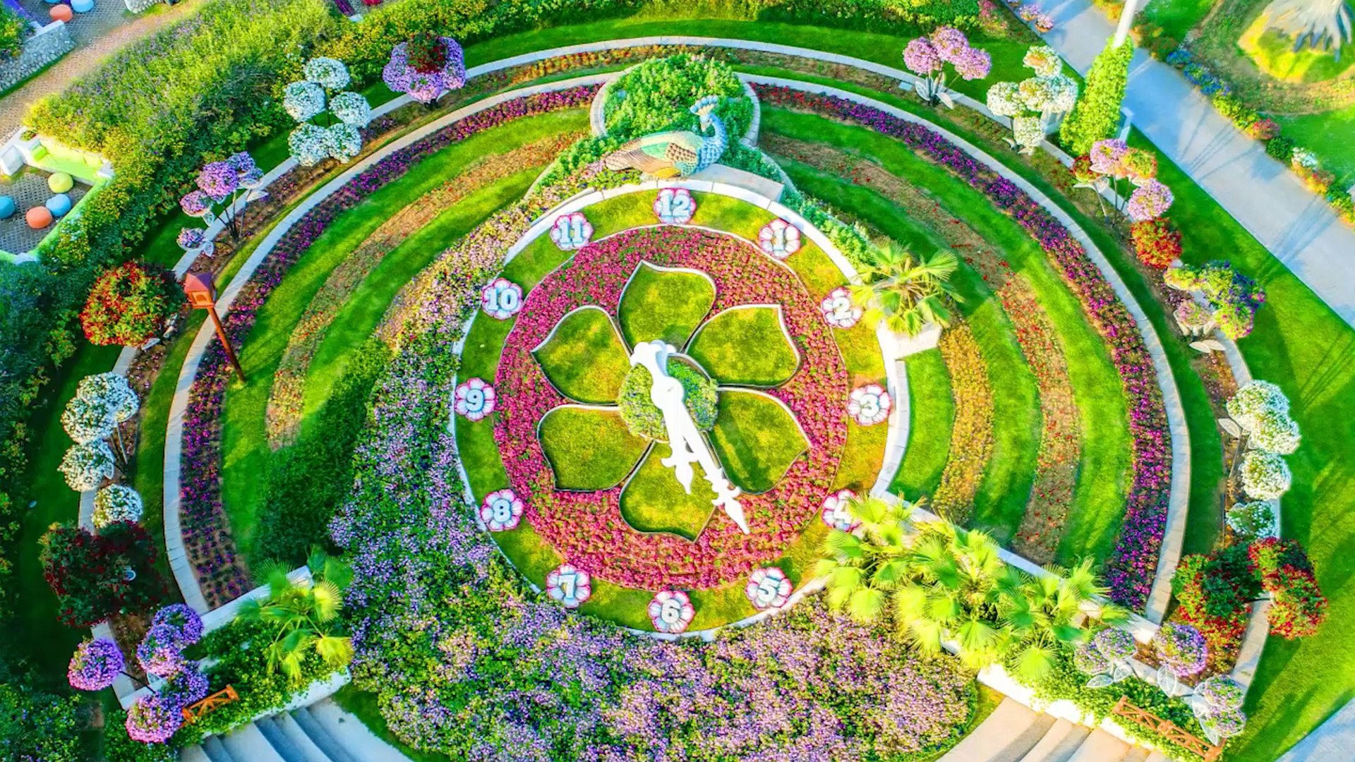 The World’s Biggest Flower Garden Sits in the Middle of a Desert