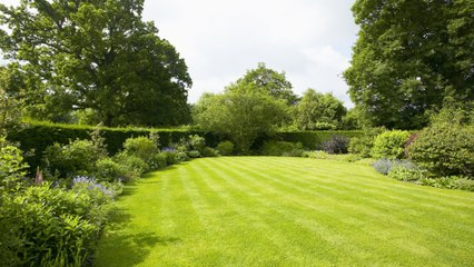 9 Mowing Tips for the Best Lawn on the Block