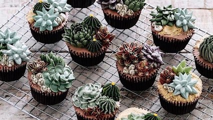 These Succulent Cakes Are the Newest Cake Trend Sweeping Social Media