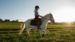 Horseback Riding May Improve Your Child’s Intelligence
