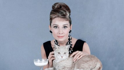 A Timeline Of Audrey Hepburn's Hollywood Love Stories
