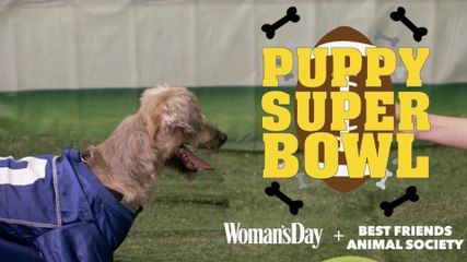 This Puppy Super Bowl Is SO Much Cuter Than The Official 2017 Super Bowl!