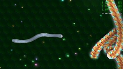 Wormax.io - long worm  best gameplay (Wormax.io funny moments)