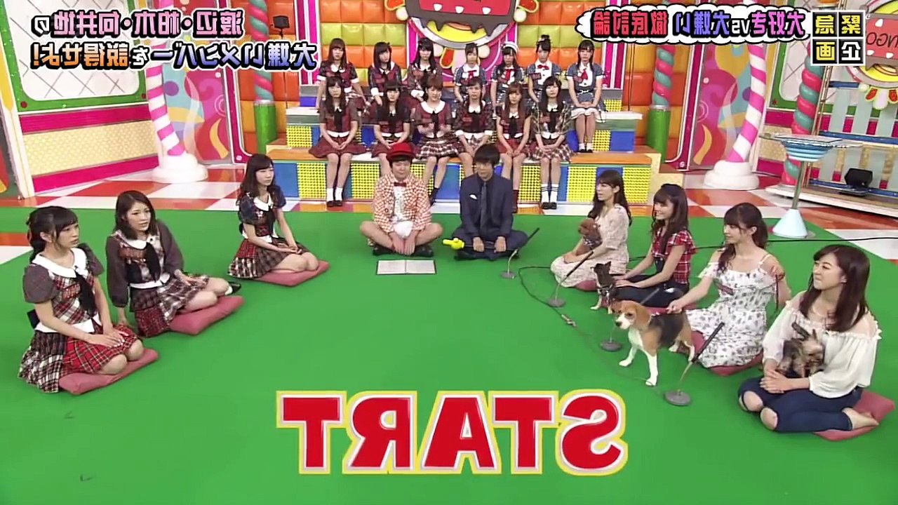 Mayukirin Vs Puppy compilation (Cute _ akb48 SUB)