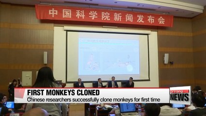 Download Video: Chinese scientists successfully clone monkeys for first time