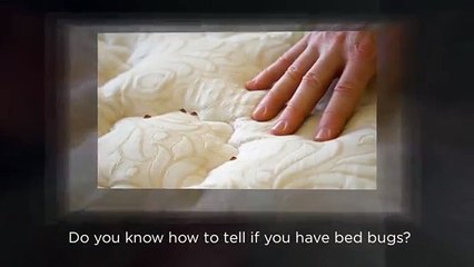 Methods To Cultivate And Managed Your Pest Control Services