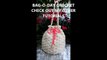 CROCHET How to #Crochet Shell Stitch - Crochet Purse Handbag #TUTORIAL #80 supersaver