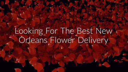 New Orleans Flower Delivery | 504-321-5968