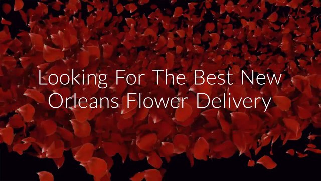 New Orleans Flower Delivery | 504-321-5968