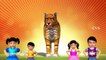 Animal Finger Family - Finger Family Song - 3D Animation Nursery Rhymes & Songs