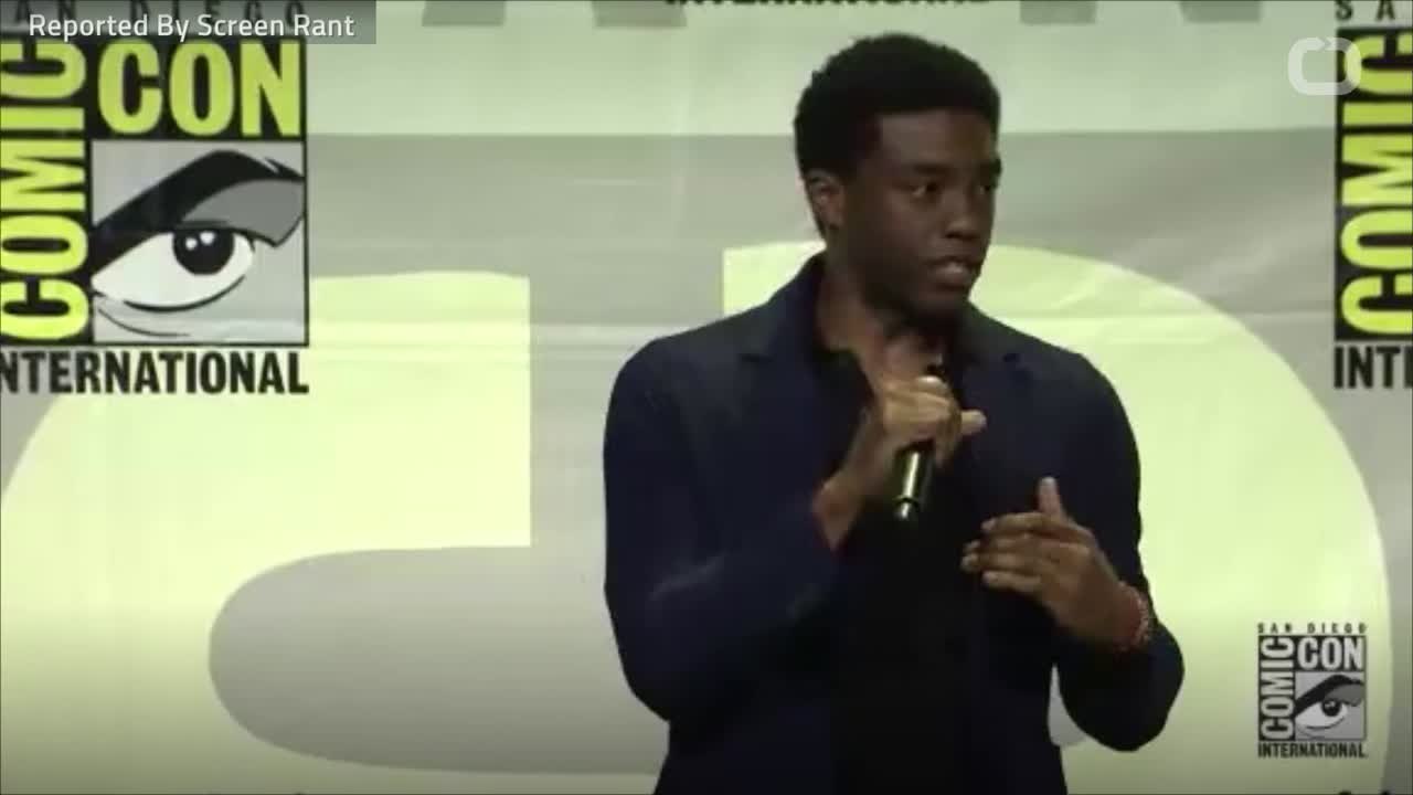 Chadwick Boseman Talks Fan Expectations For Black Panther