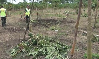 Rudal Nyasar Kejutkan Warga Lumajang