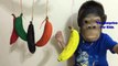 Learn Colors with Bananas and Monkey for Children, Toddlers