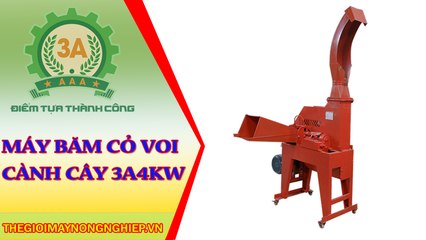 MÁY BĂM CỎ VOI, CÀNH CÂY 3A4KW