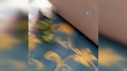 Kütahya'da 2 milyon TL değerinde at dopingi kimyasalı ele geçirildi