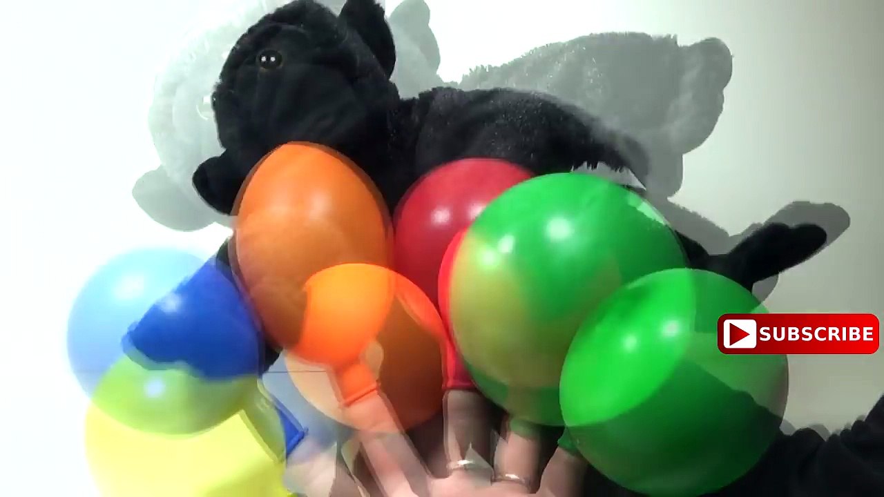 5 Colors Balloons Little Funny Monkey Learn Colours Balloon Finger Family Nurser