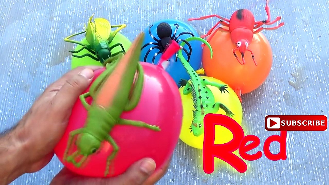 Baby Finger Family Song for Learn Colors with Insects Wet Balloons Babies Nurser