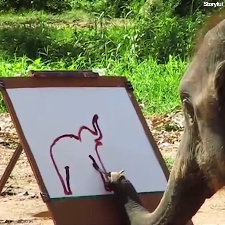 Cet éléphant peut dessiner un éléphant... Incroyable