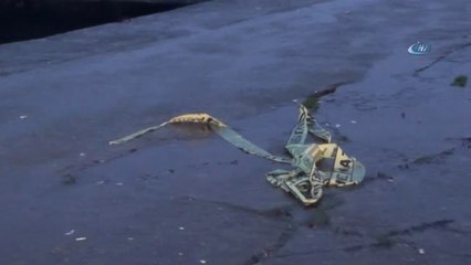 Kayıp Polisin Cesedine Ulaşıldı