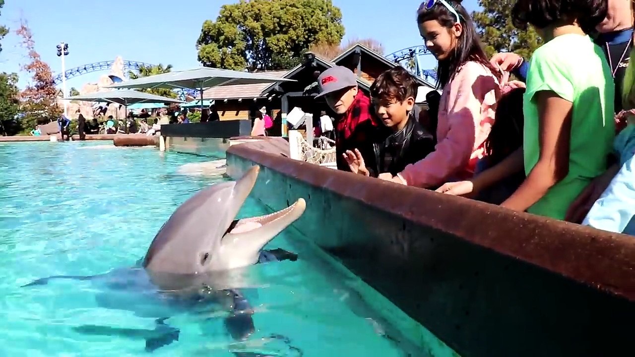 WE FOUND REAL TREASURE! Kids can’t believe what we found