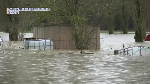 Crue en Seine-et-Marne : les images des inondations à Condé-Saint-Libaire