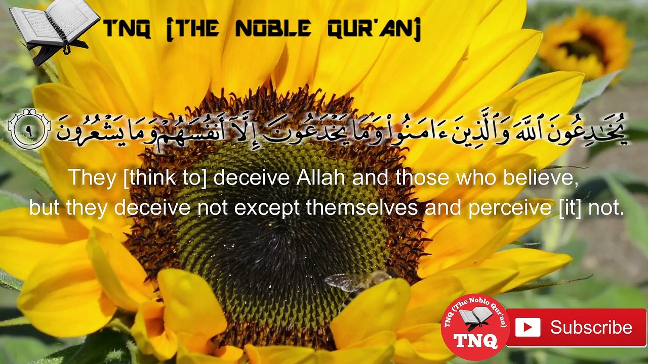 surah albaqarah, surah baqara, سورة البقارة, sourate baqarah, сура бакара, Sure Baqarah, سورہ بقرہ, սուրա բաքարա, ਸੂਰਾਹ ਬਕਾਰਾਹ, సూరా బాఖారా, சூரா பாகாரா,  aayah 9,10 with english translation - The noble quran