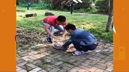 China and japanese mix funny video kwai must watch