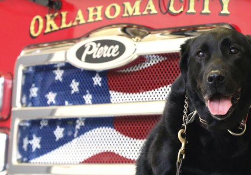 Oklahoma Firefighters Save Former Rescue Dog Trapped Under Decking