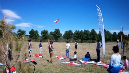 Handicap et cerfs-volants