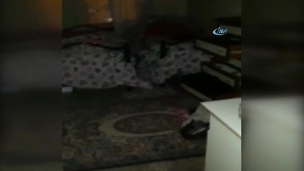 Eve Giren Hırsızlar 2 Kilogram Altını Çaldı