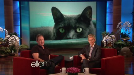 Tim Allen's Huge Cat