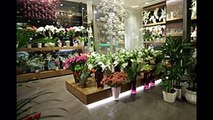 flower shop interior design ideas