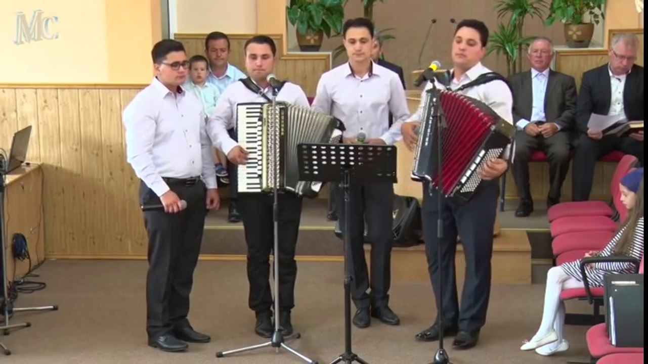 Fratii Strugariu - Nu am nimic in asta lume