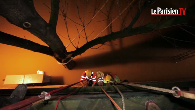 Crue de la Seine : pourquoi le RER C est-il en partie fermé ?