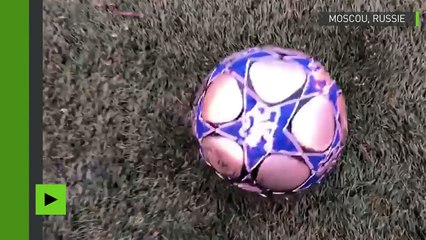 A Moscou, ce tigre attend la Coupe du monde de football avec impatience