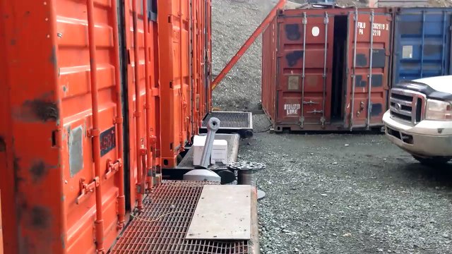 Des petits renards sous un conteneur