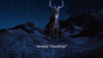 Globelink Travel Insurance Will Get You Covered