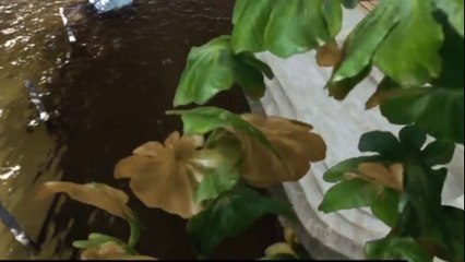 A quoi ressemblerait Paris sous une crue similaire à 1910