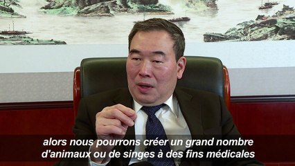 Premier clonage de primates avec la technique de Dolly