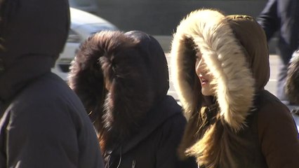 한강도 폭포도 얼었다...내일 한파 절정 / YTN