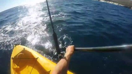 Ce kayakiste lutte contre un requin très agressif qui ne le lache pas