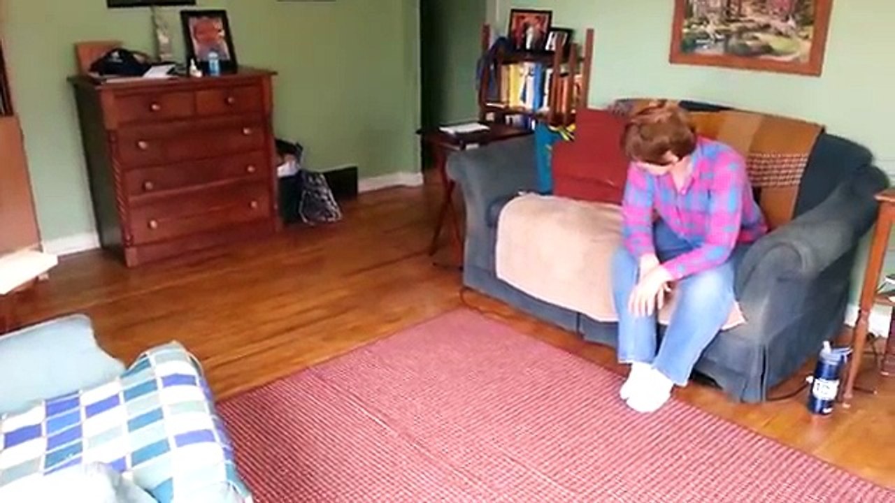 Dogs vs. Couches Fail Compilation | Cutest Animals 2016